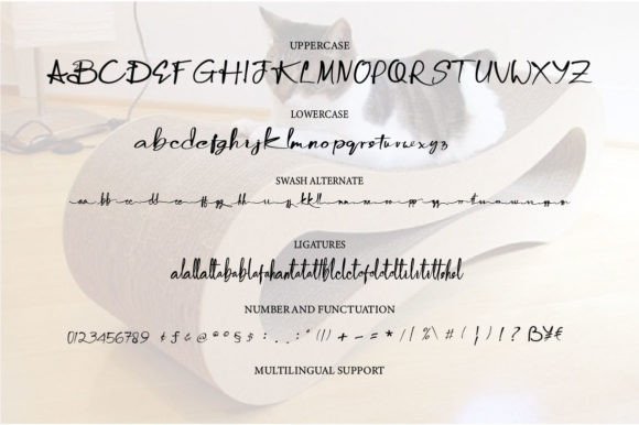 Baleeblank Font - Preview 1