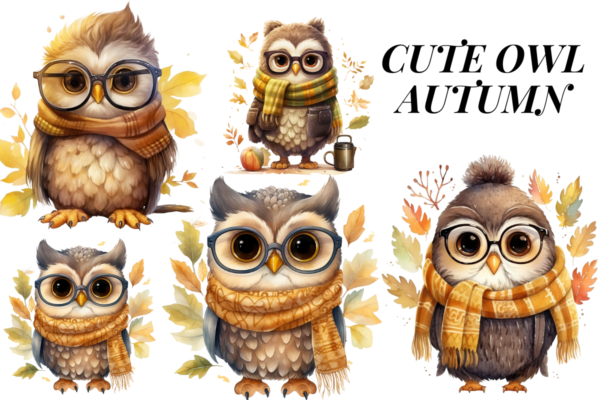 Cute Autumn Owl Clipart Graphic by Digital Xpress · Creative Fabrica