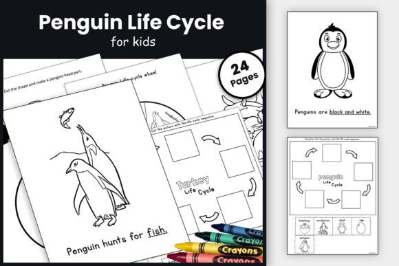Penguin Life Cycle Craft & Activities