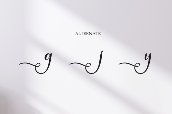 Felicity Font - Preview 6