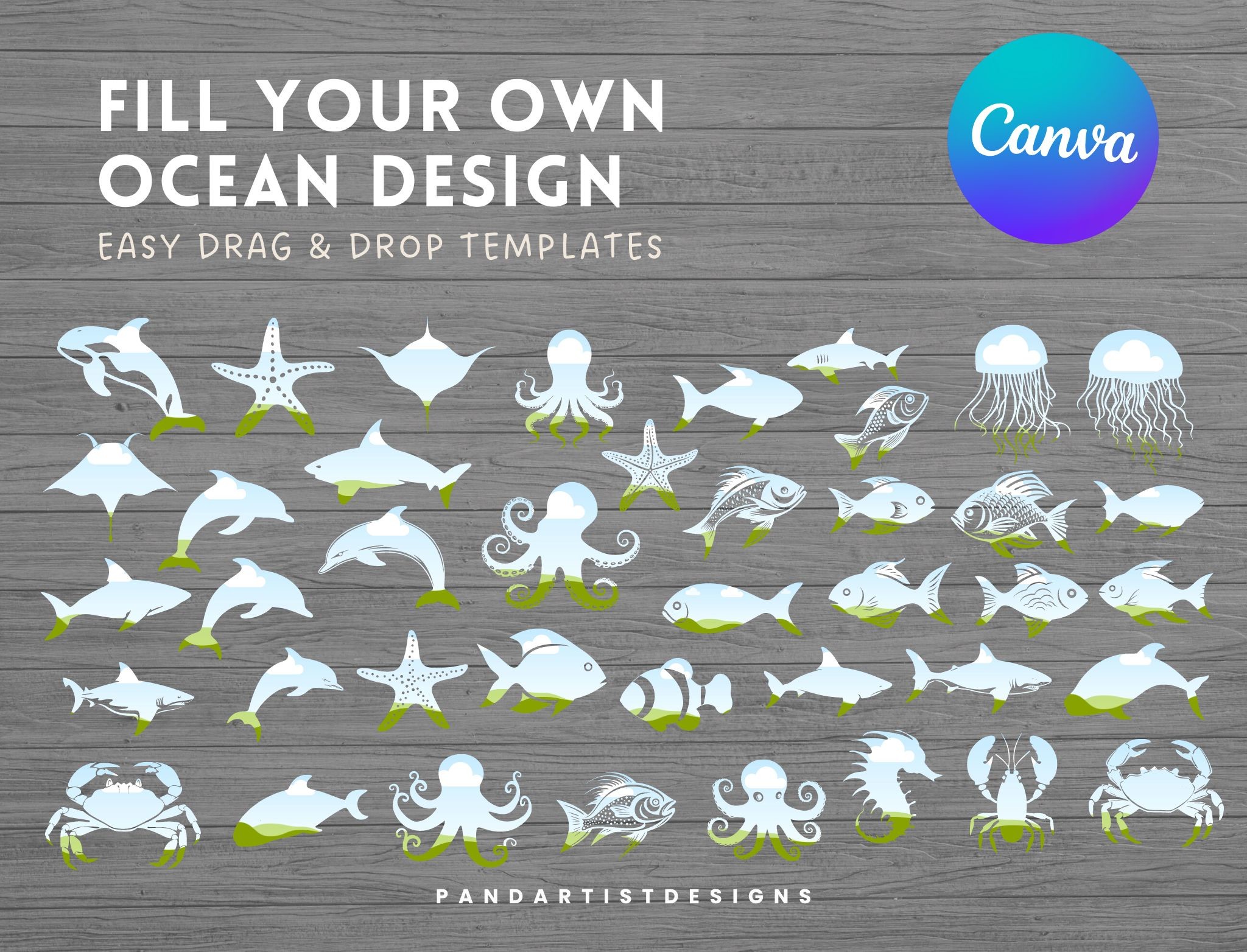 Ocean Animal Canva Frames Bundle