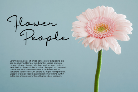 Berliman Font - Preview 5