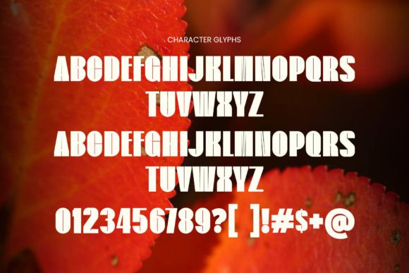 Flower Font - Preview 5