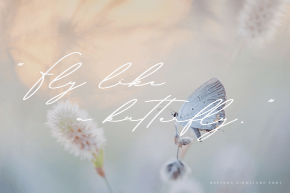 Bellinda Signature Font - Preview 4