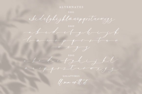 Bitter Love Font - Preview 4