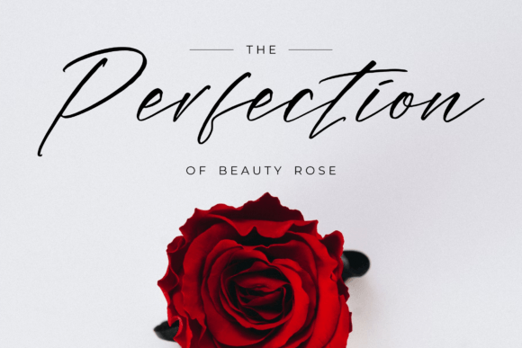 Blushelom Portnight Font - Preview 1