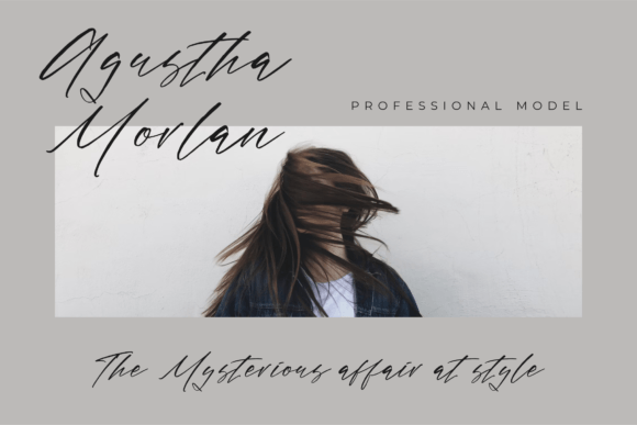 Blushelom Portnight Font - Preview 5