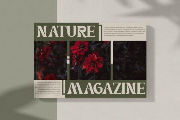 Power Passion Font font preview - 3
