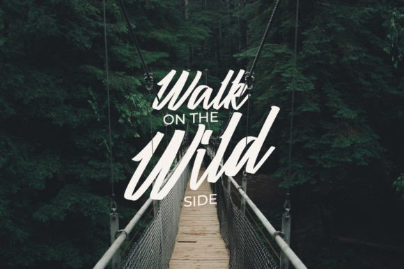 Calisher Font - Preview 5