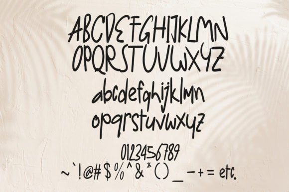 Cavallo Font - Preview 5