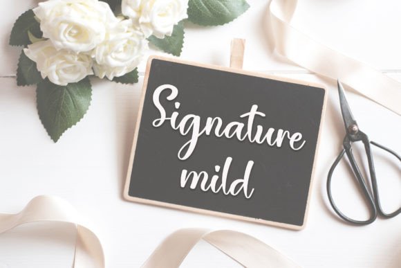 Daily Meals Font font preview - 4