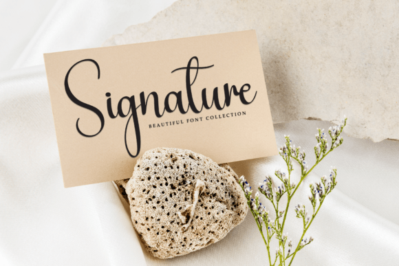 Payment Font PNG with transparent background - Preview 4