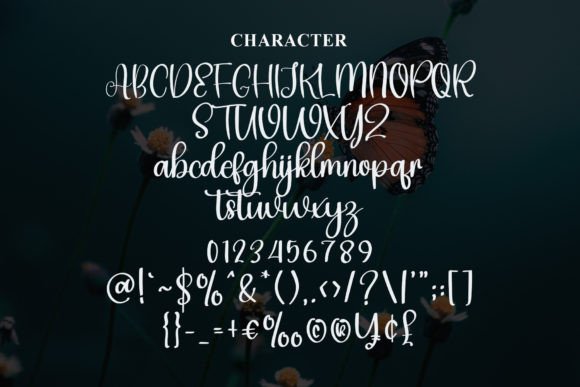 Butterfly Font - Preview 3