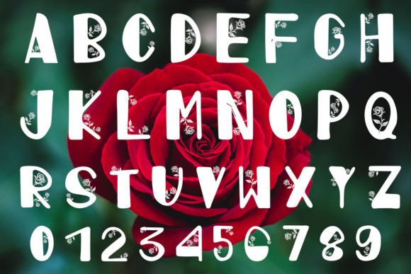 Bountiful Bliss Rose Font PNG with transparent background - Preview 1