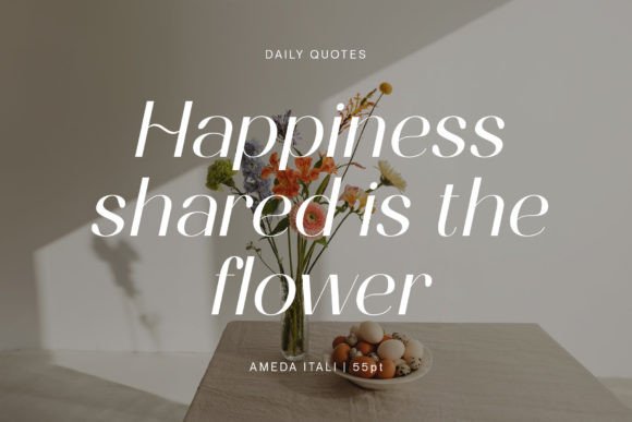 Ameda Font - Preview 5