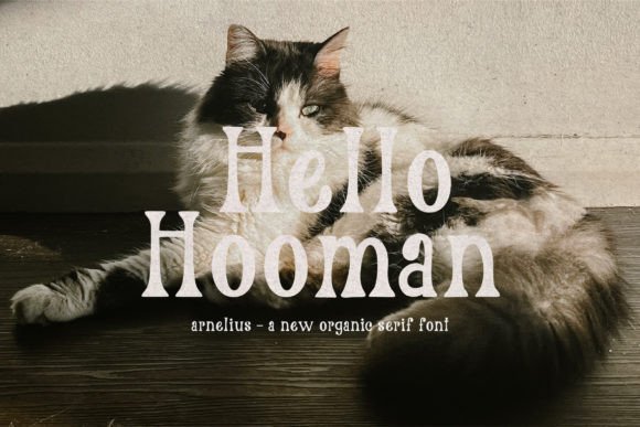 Arnelius Font - Preview 5