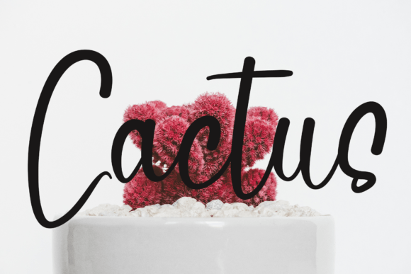 Dance Font - Preview 3
