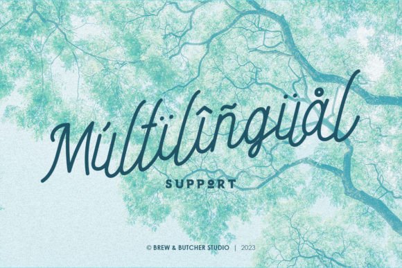 Endago Font PNG with transparent background - Preview 3