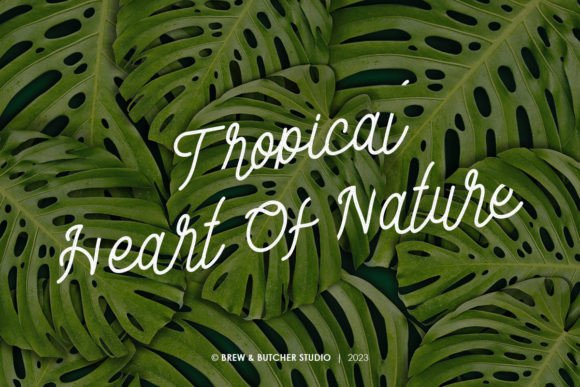 Endago Font PNG with transparent background - Preview 6