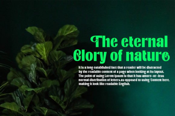 Internal Display Font - Preview 6