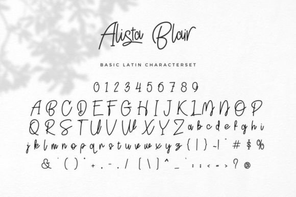 Alista Blair Font - Preview 5
