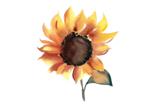 Fall Sunflower Watercolor Clipart Vol–9 Graphic by Design Store ...