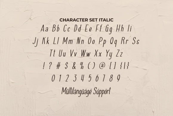 Haiesley Sans Font - Preview 4