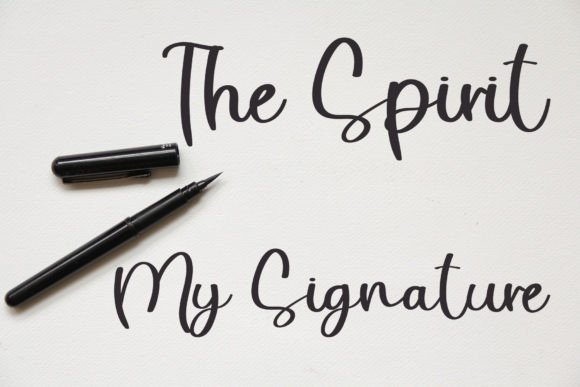 Holistic Signature Font PNG with transparent background - Preview 3