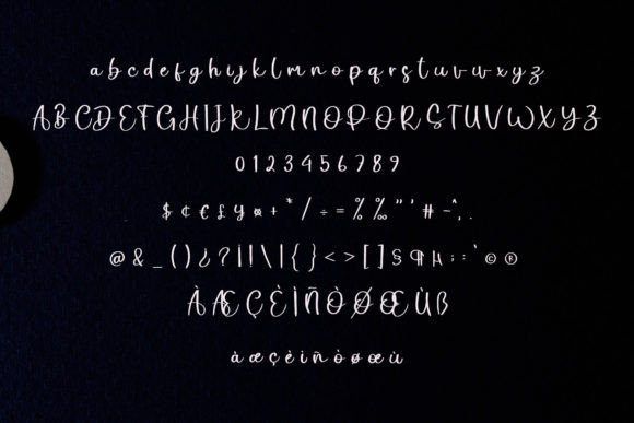 Holistic Signature Font PNG with transparent background - Preview 5