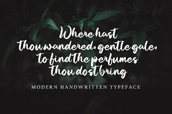 Autena Shilda Font - Preview 1