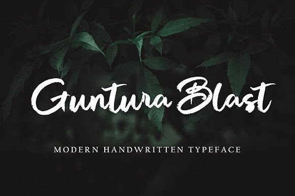 Autena Shilda Font - Preview 2
