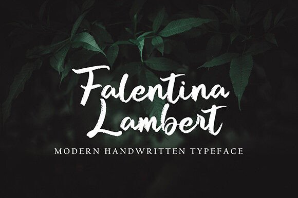Autena Shilda Font - Preview 3