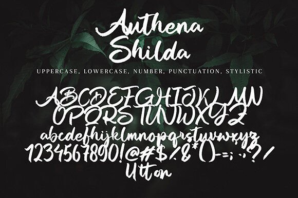 Autena Shilda Font - Preview 5