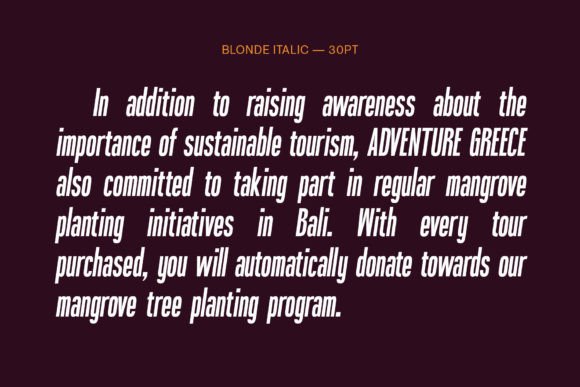 Blonden Font - Preview 6