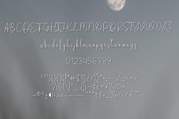Bougenvile Font - Preview 3