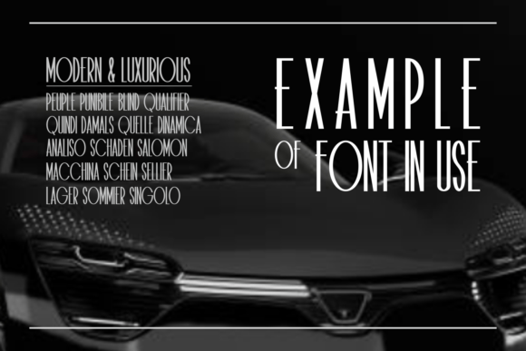 Cerons Font - Preview 4
