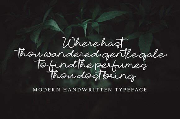 Dalmonte Font - Preview 1