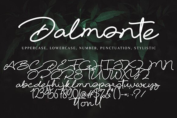 Dalmonte Font - Preview 5