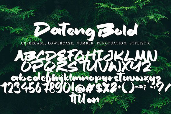 Dateng Bold Font - Preview 6