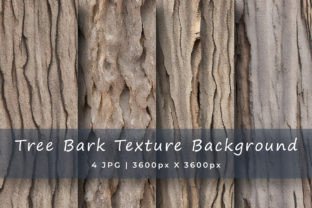 Rough Tree Bark Textures Graphic by srempire · Creative Fabrica