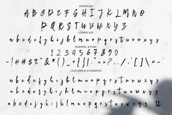 Dream Dolphin Font - Preview 5