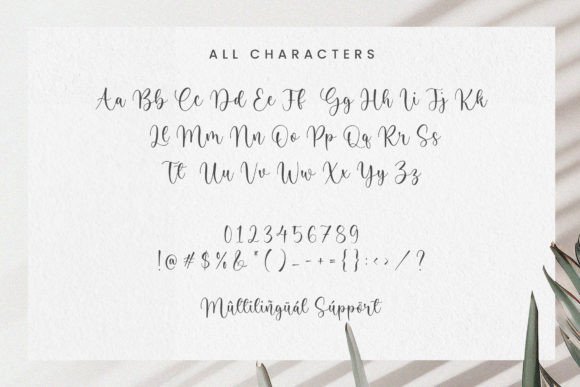 Honesty Elisabeth Font - Preview 5