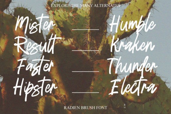 Radien Brush Font PNG with transparent background - Preview 4