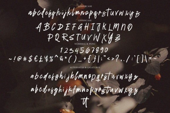 Radien Brush Font PNG with transparent background - Preview 6