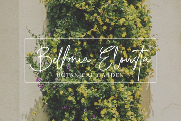 Hutellan Font - Preview 2