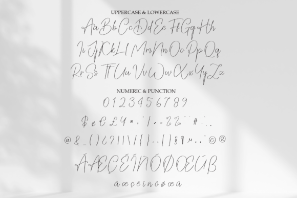 Modest Signature Font PNG with transparent background - Preview 6