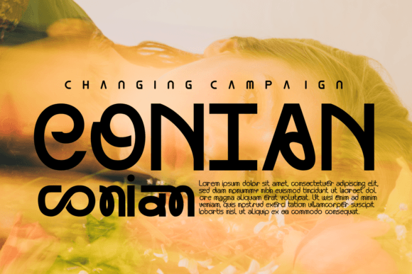 Changing Campaign Font - Preview 4