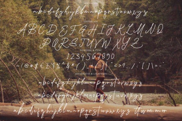 Damione Font - Preview 4