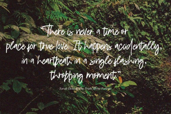 Diravest Brush Font - Preview 2