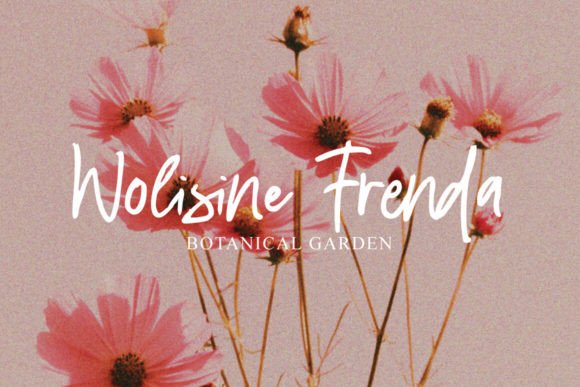 Diravest Brush Font - Preview 4